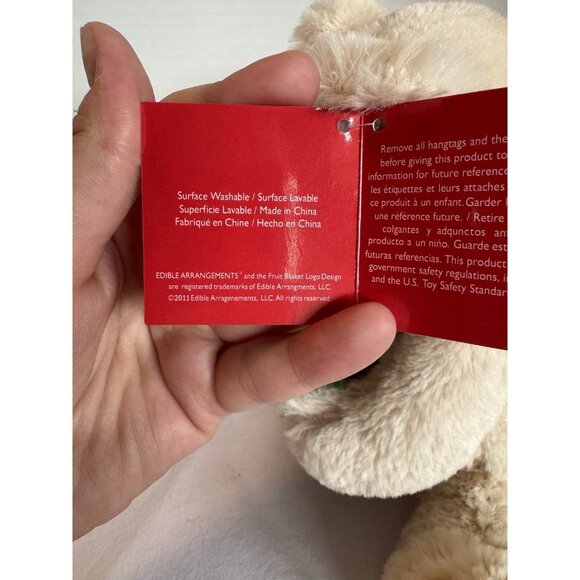 EDIBLE ARRANGEMENTS BERRY LOVED BEARs CHOCOLATE COVERED STRAWBERRY 9" PLUSH - Picture 3 of 3